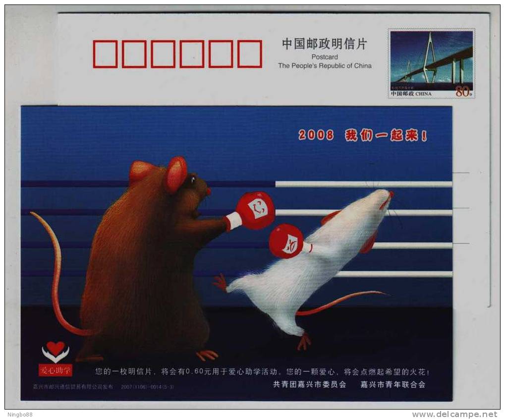Rat Boxing